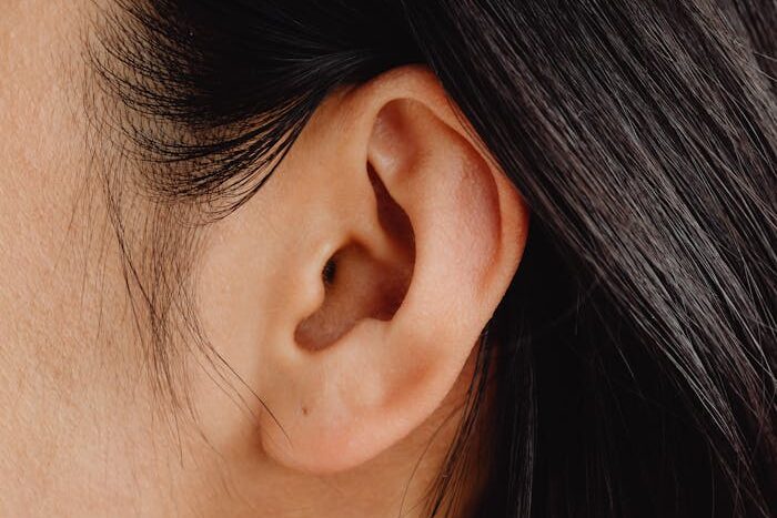Detailed close-up image showcasing a human ear and dark hair.